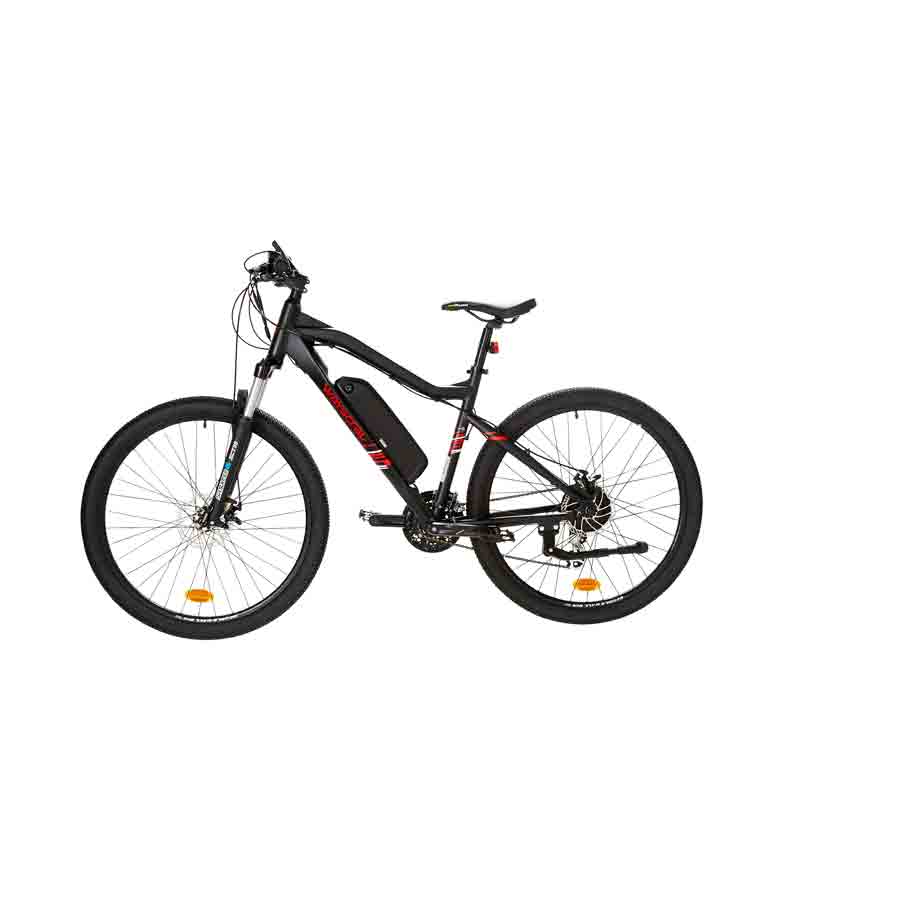 E-Bike Pedelec Anyway E200, von Wayscral - ATU