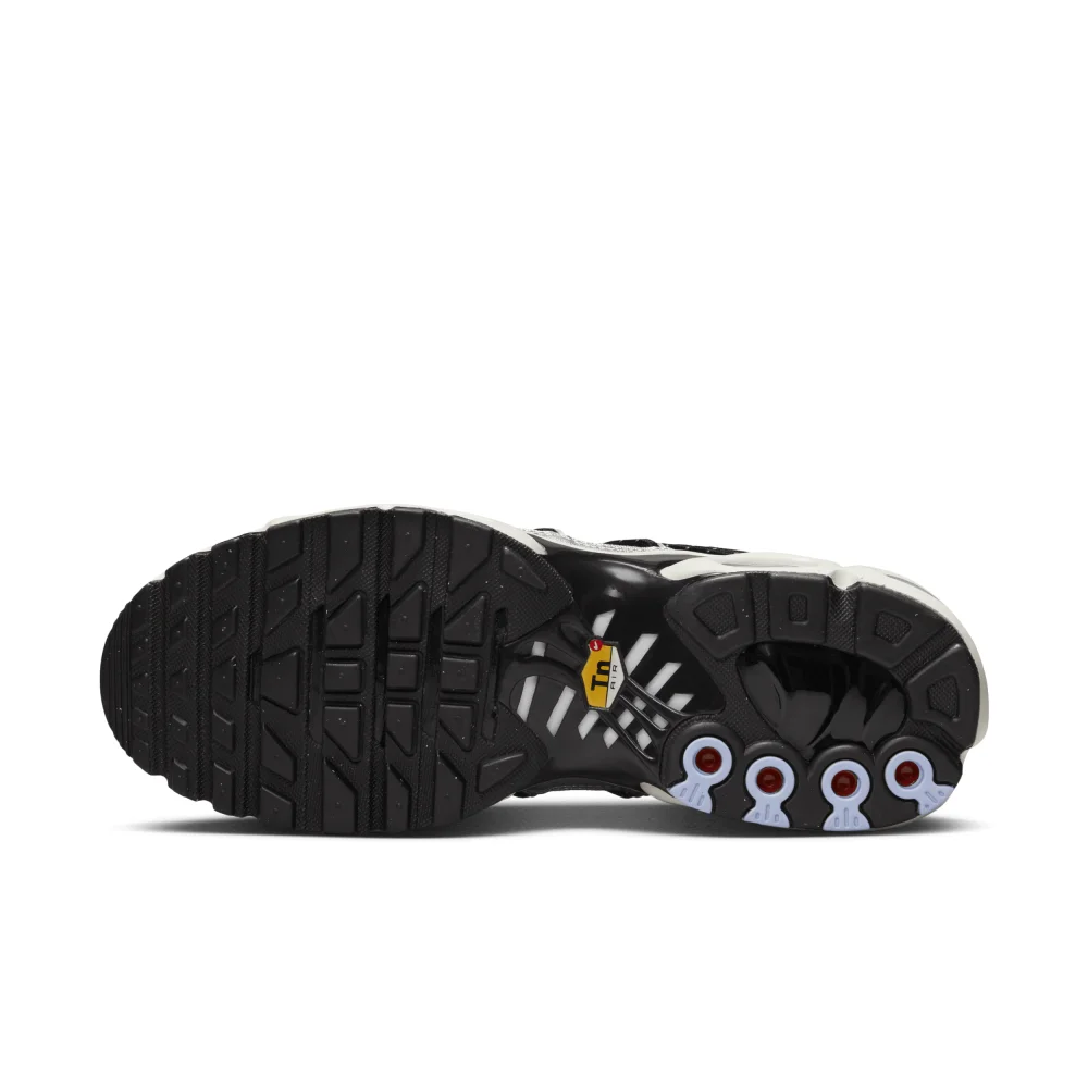 Nike Air Max Plus FD0799-001 / schwarz