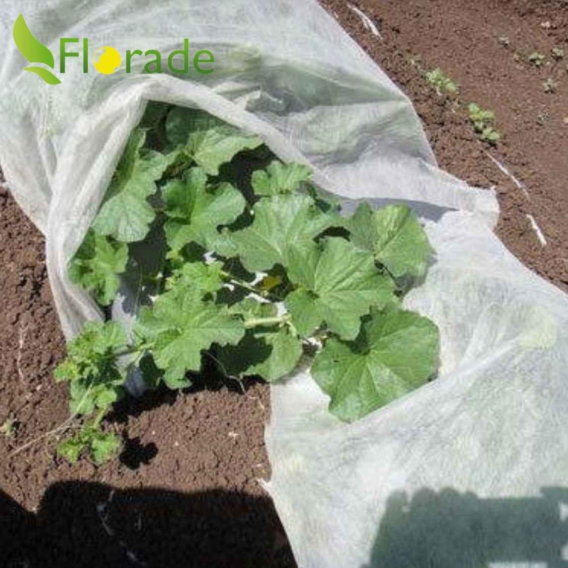 Florade Winterschutzvlies Wintervlies - Thermovlies - Winter Pflanzenschutz - Frostschutz, 19g/m² - 1,6m x 1m