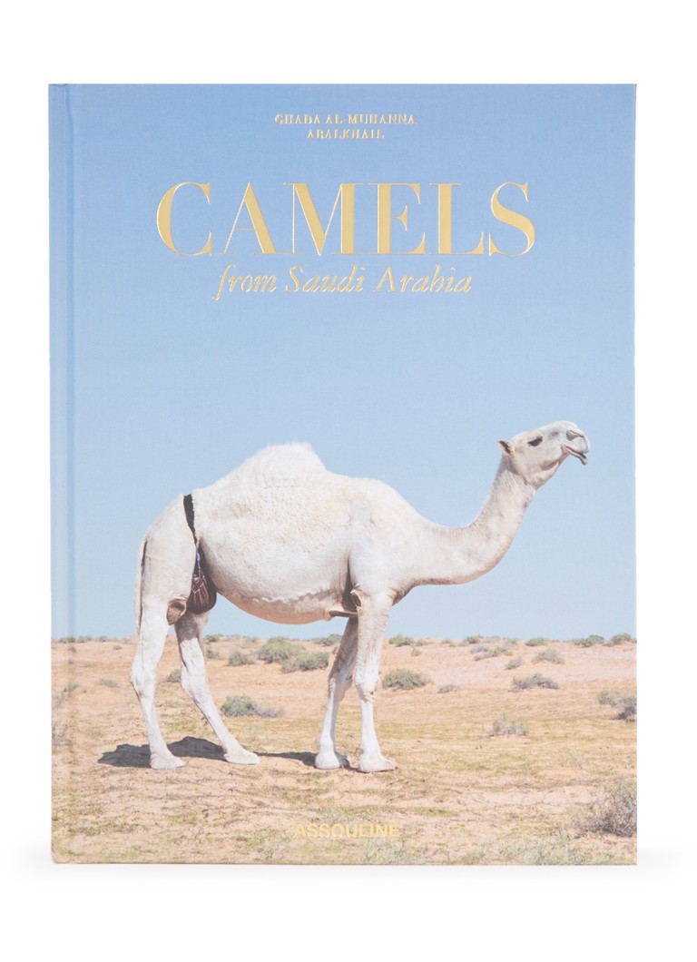 Cammelli Assouline provenienti dall'Arabia Saudita