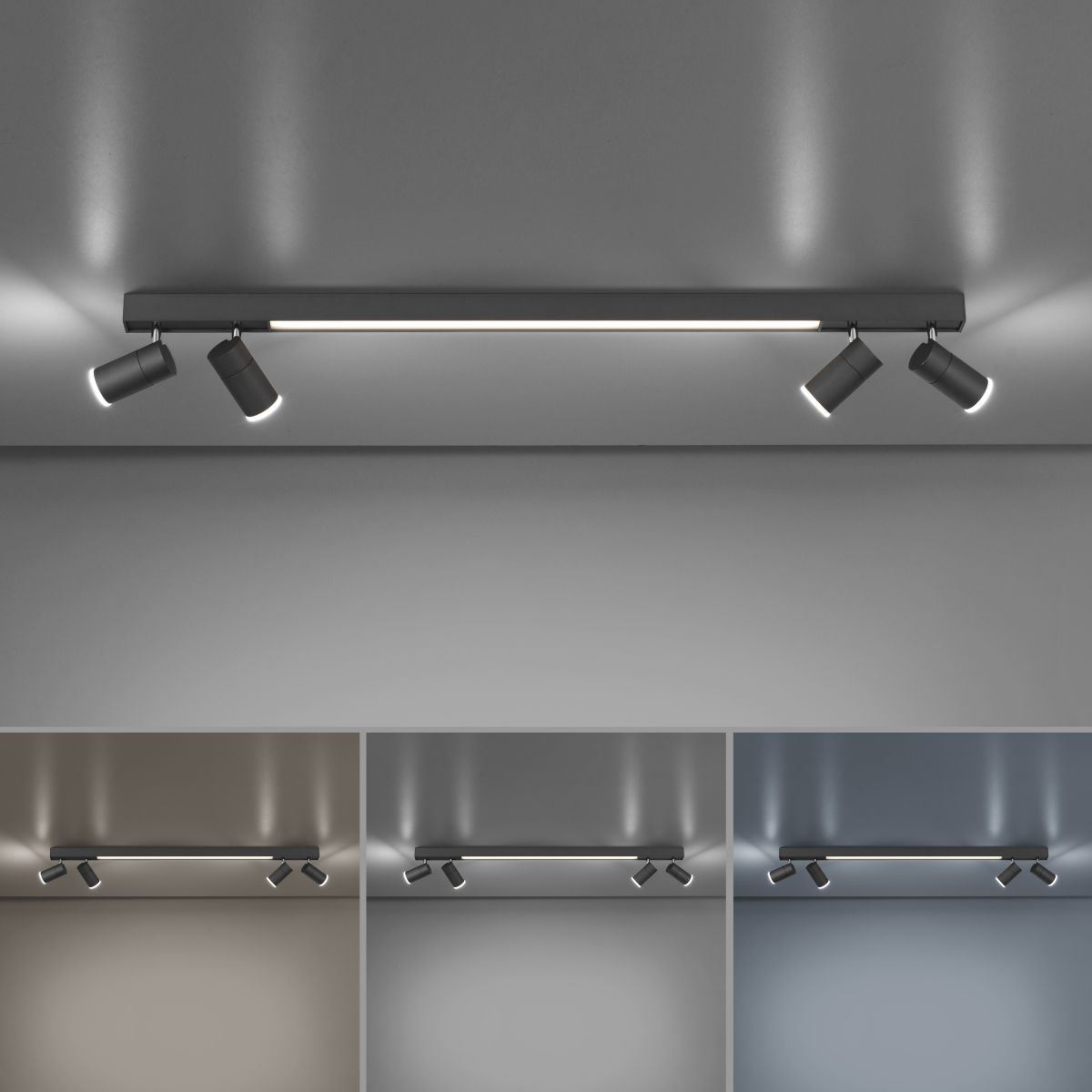 Paul Neuhaus LED Spot Pure Lines 4-flg Anthrazit 120 x 19 cm