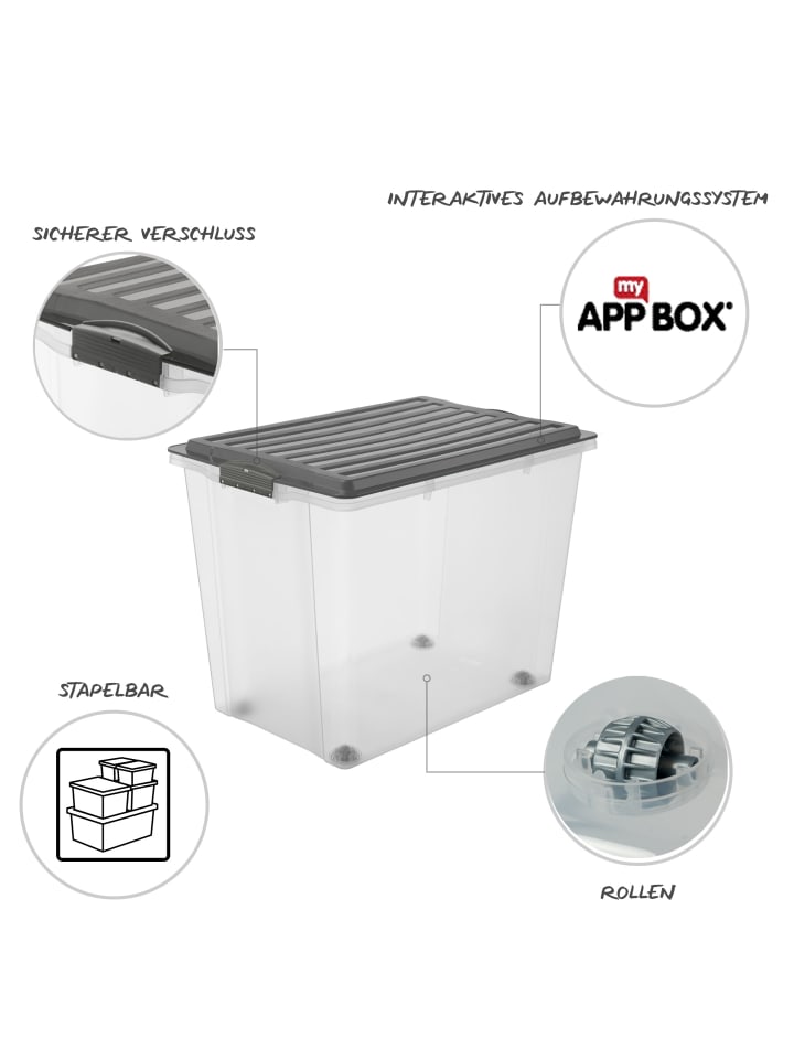 Rotho 3er Set Box 70 l COMPACT günstig kaufen onesize