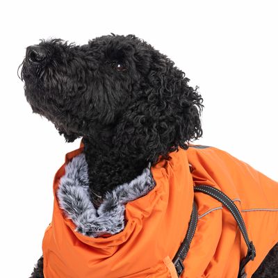 TIAKI Hundemantel mit Geschirr Arkon, orange