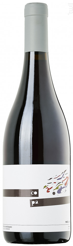 Pais Copa Vin Rouge●Autres appellations du Chili 2019 75cl
