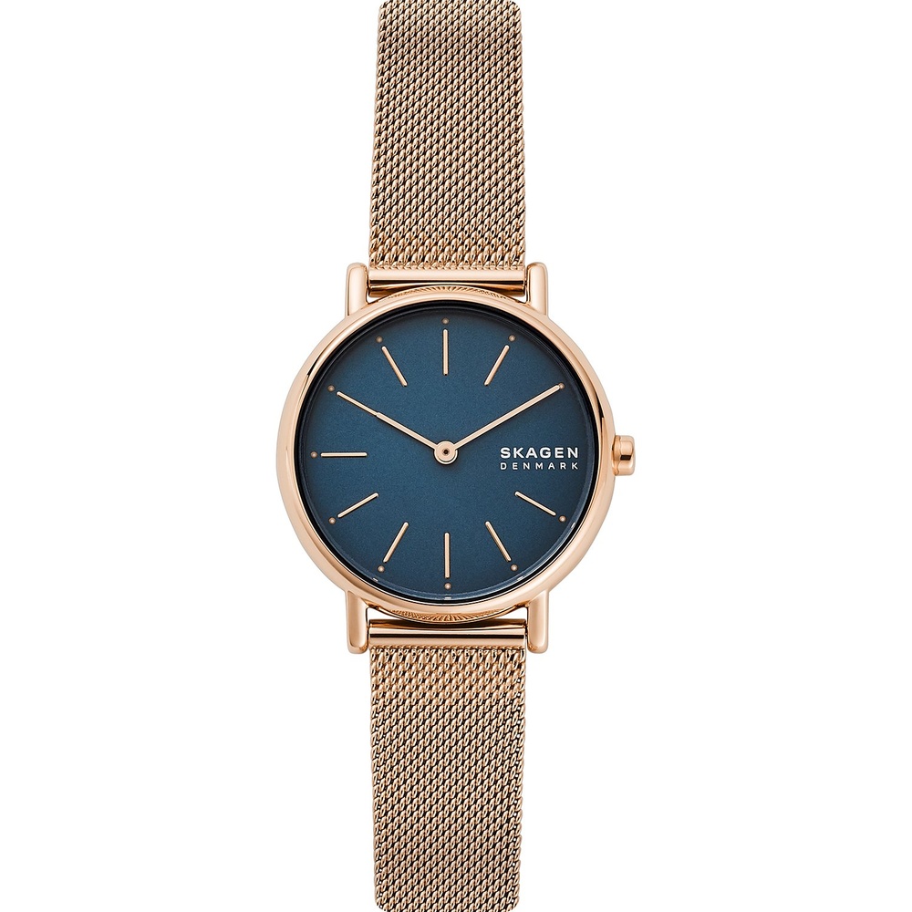 Skagen Montre pour femme Acier inoxydable Montre