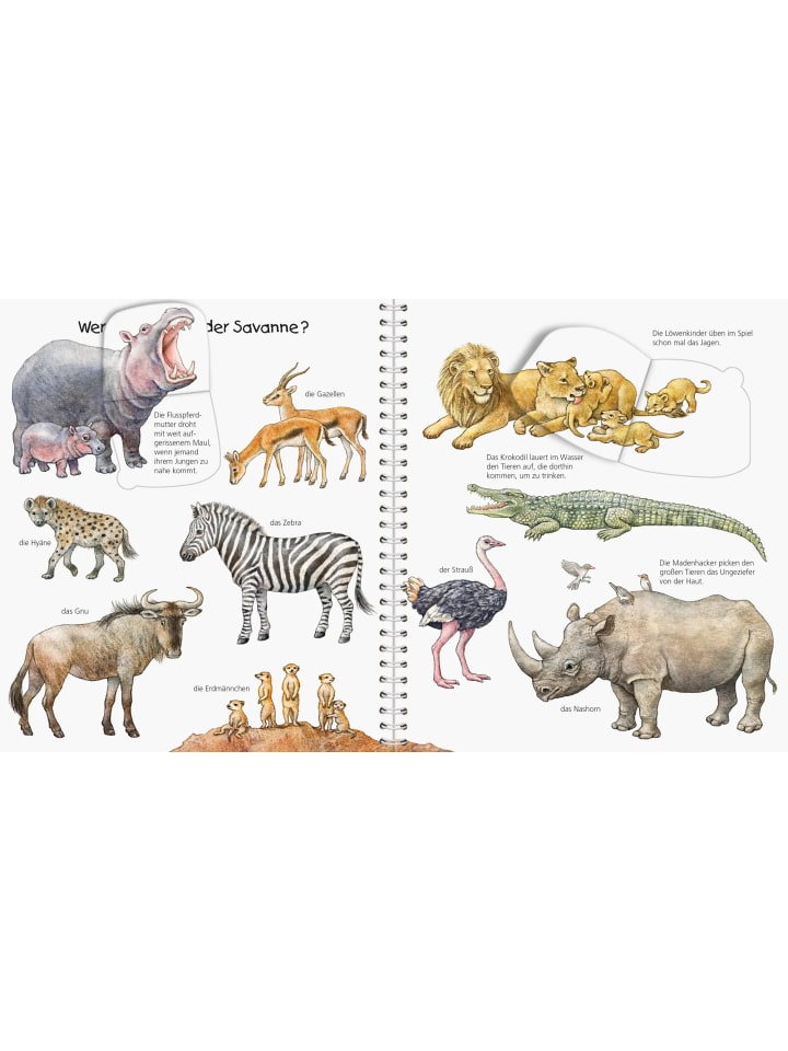 Ravensburger Wieso? Weshalb? Warum? Mein junior-Lexikon: Tiere günstig kaufen onesize