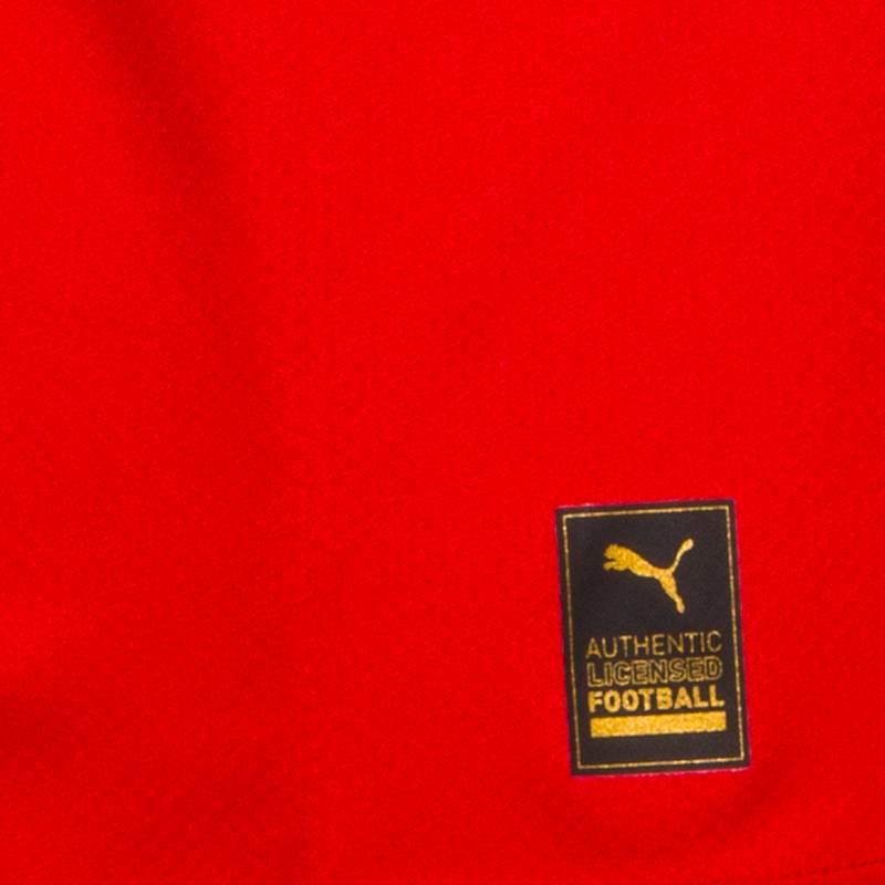PUMA sterreich 2022 Heim Teamtrikot Herren