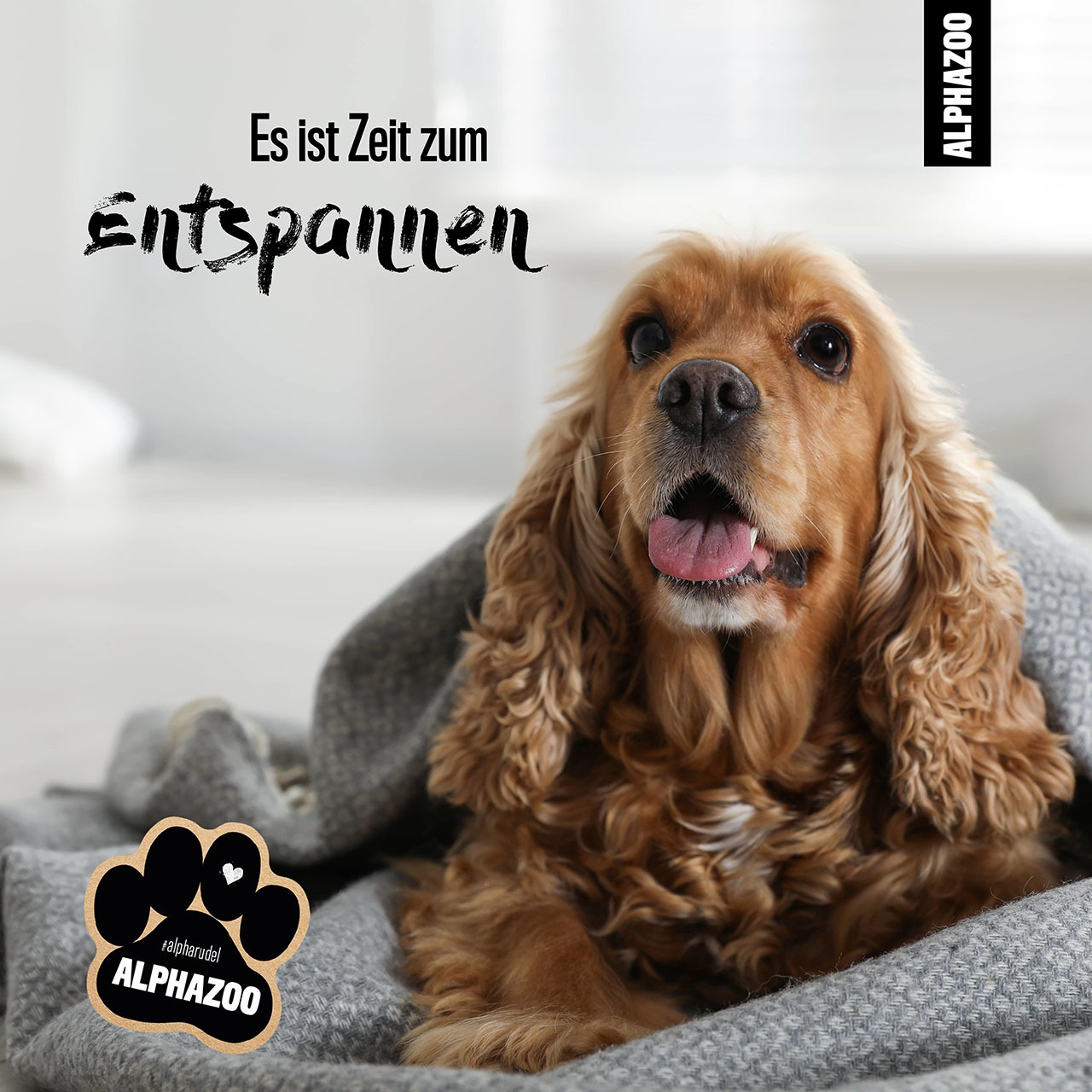 ALPHAZOO Beruhigungsmittel ALPHAZOO Seelenruhe Beruhigungsspray für Hunde I Beruhigungsmittel mit Baldrian 200 ml