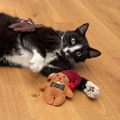 Katzenspielzeug Lebkuchen-Maus & Rentier