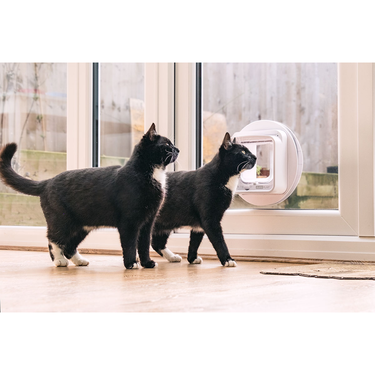 SureFlap Mikrochip Katzenklappe Connect kaufen