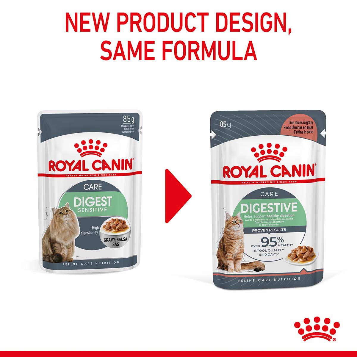 ROYAL CANIN DIGESTIVE CARE Feuchtnahrung für Katzen mit empfindlicher Verdauung
