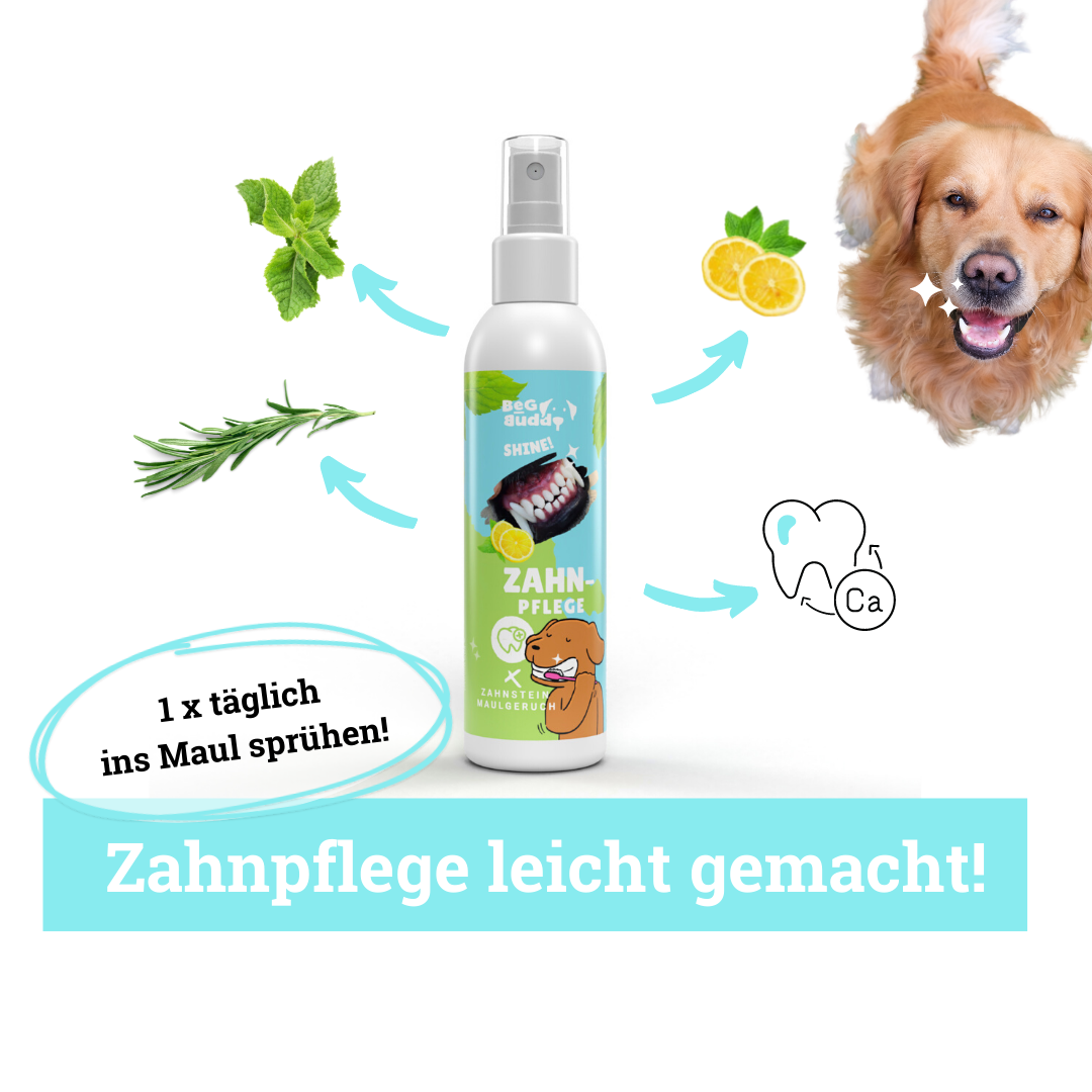BeG Buddy Zahnpflege BeG Buddy Zahn weiß Dental Spray Hund, Zahnpflege & Maulhygiene