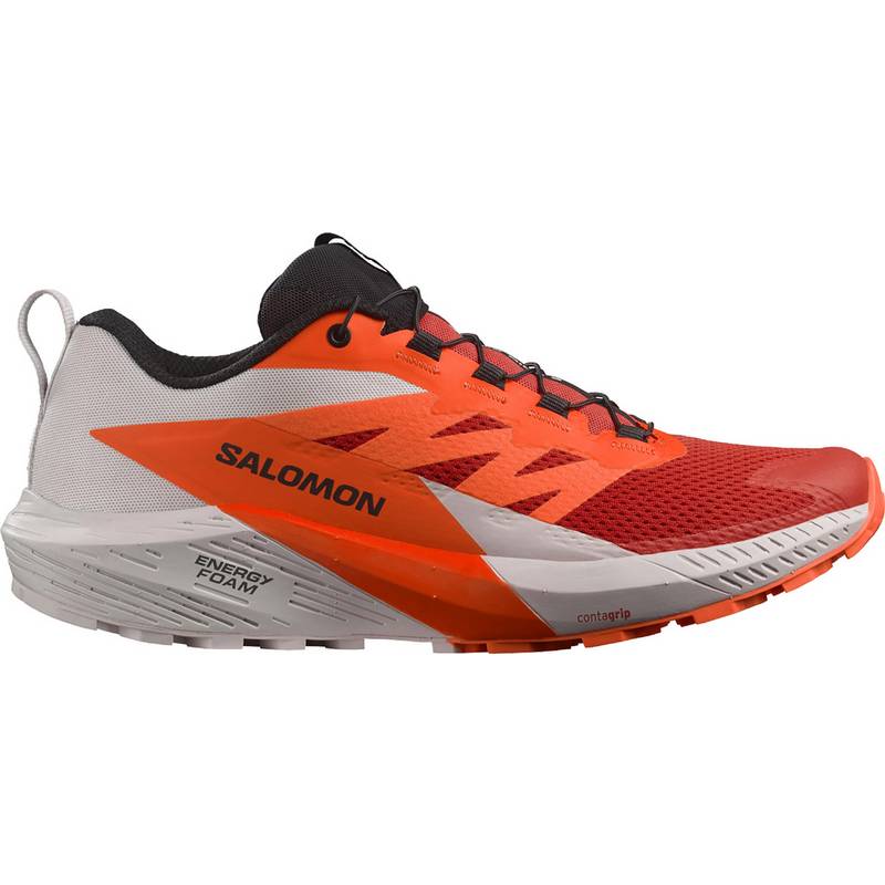 Salomon SENSE RIDE 5 Laufschuhe Herren
