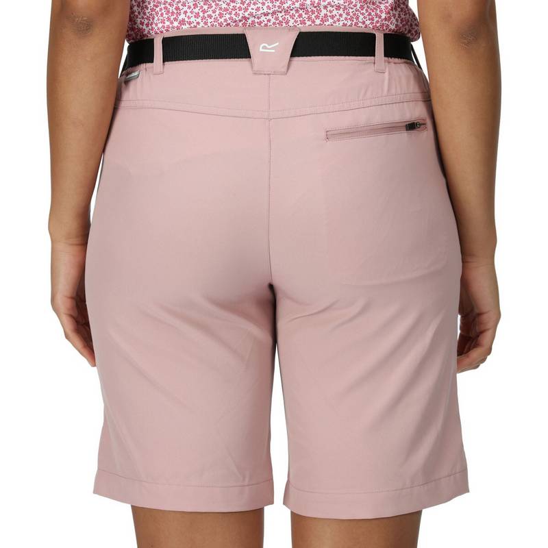Regatta Xert It Shorts Damen