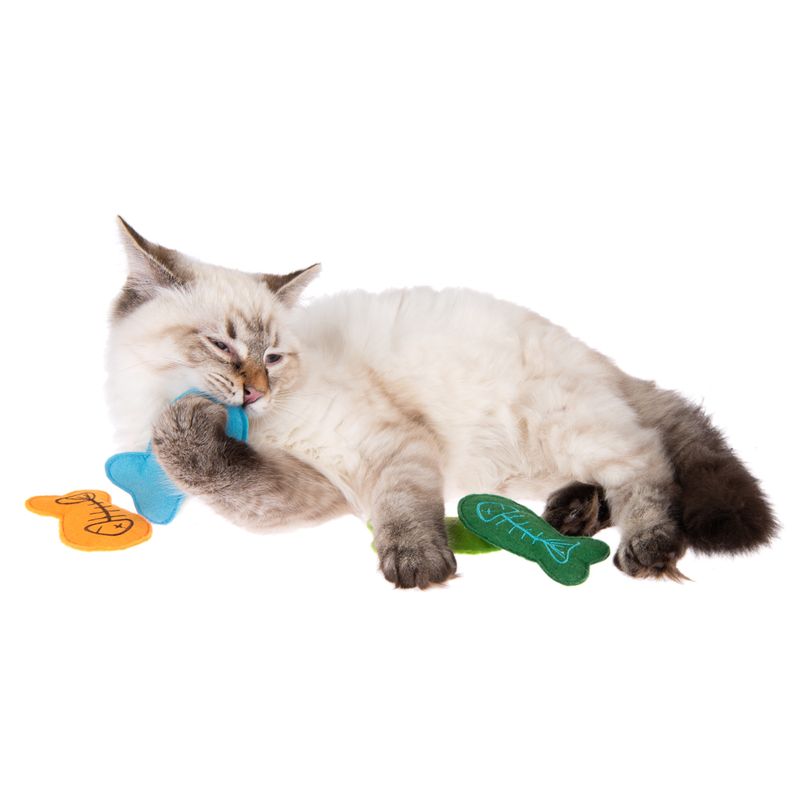 Katzenspielzeug Marlin zu TOP-Preisen