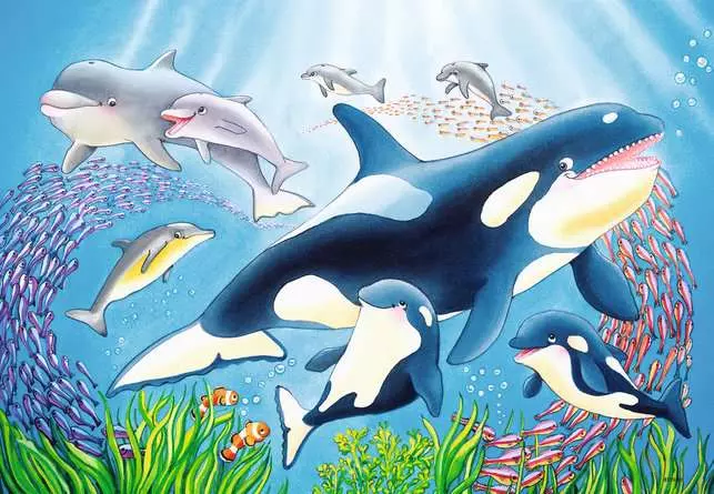 Kinderpuzzle ab 4 Jahren - Kunterbunte Unterwasserwelt - 24 Teile