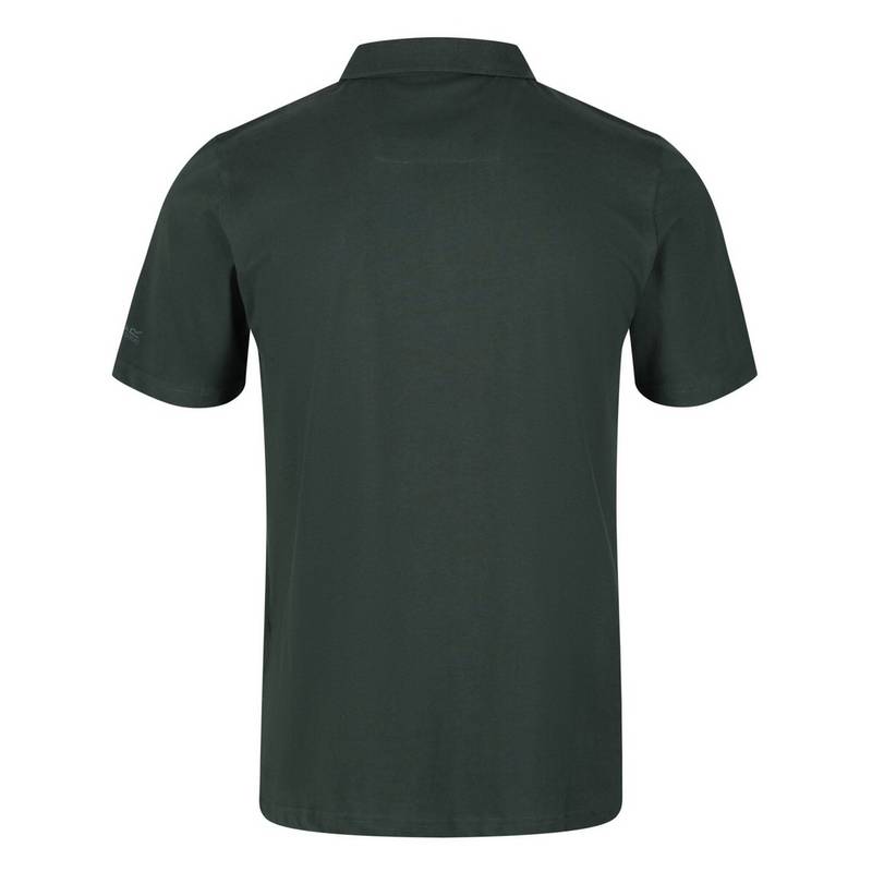 Regatta Sinton Poloshirt Herren