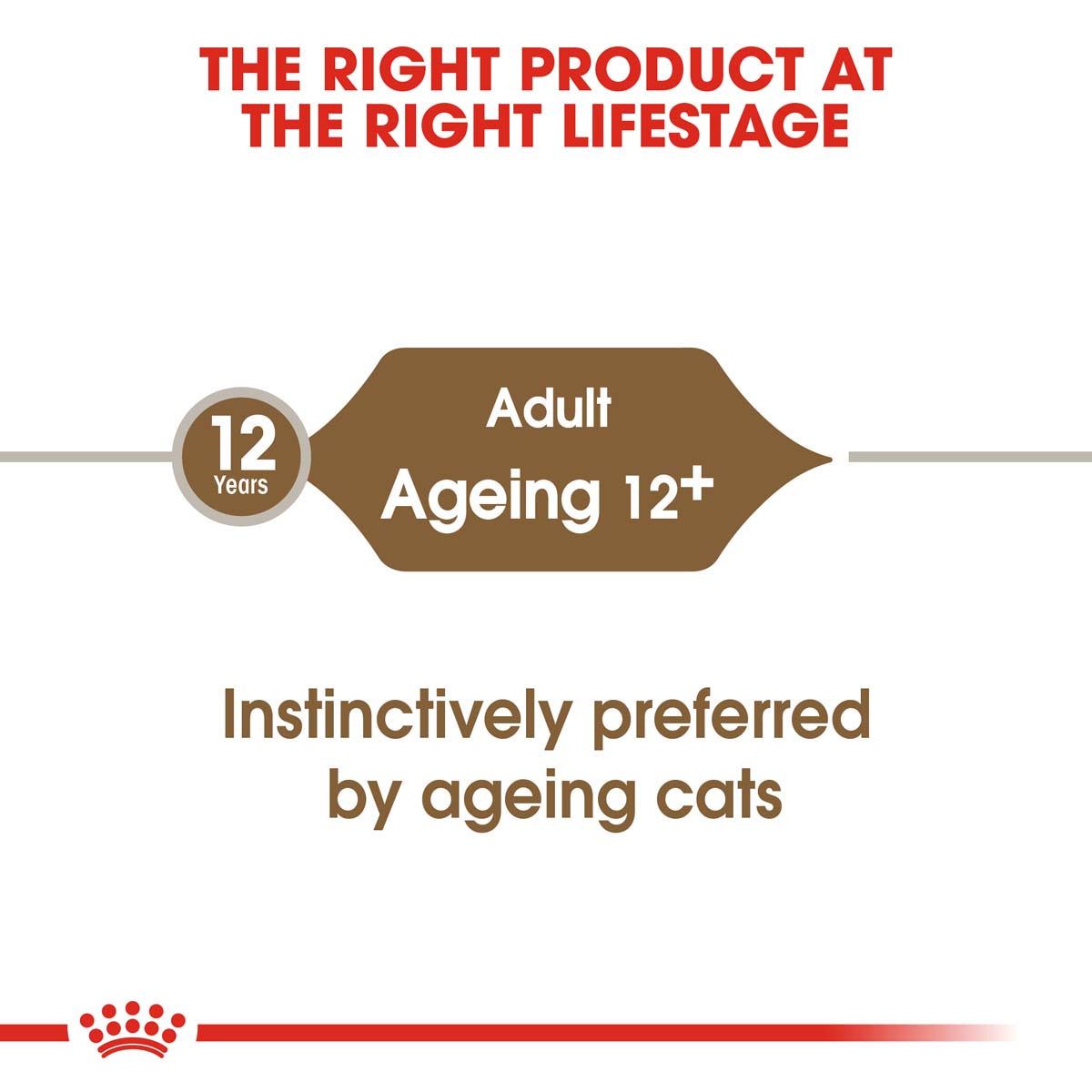 ROYAL CANIN AGEING 12+ für Katzen günstig kaufen bei ZooRoyal