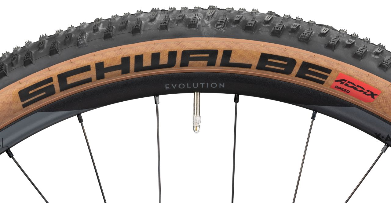 Radon Jealous AL 10.0 SL kaufen | Bike-Discount