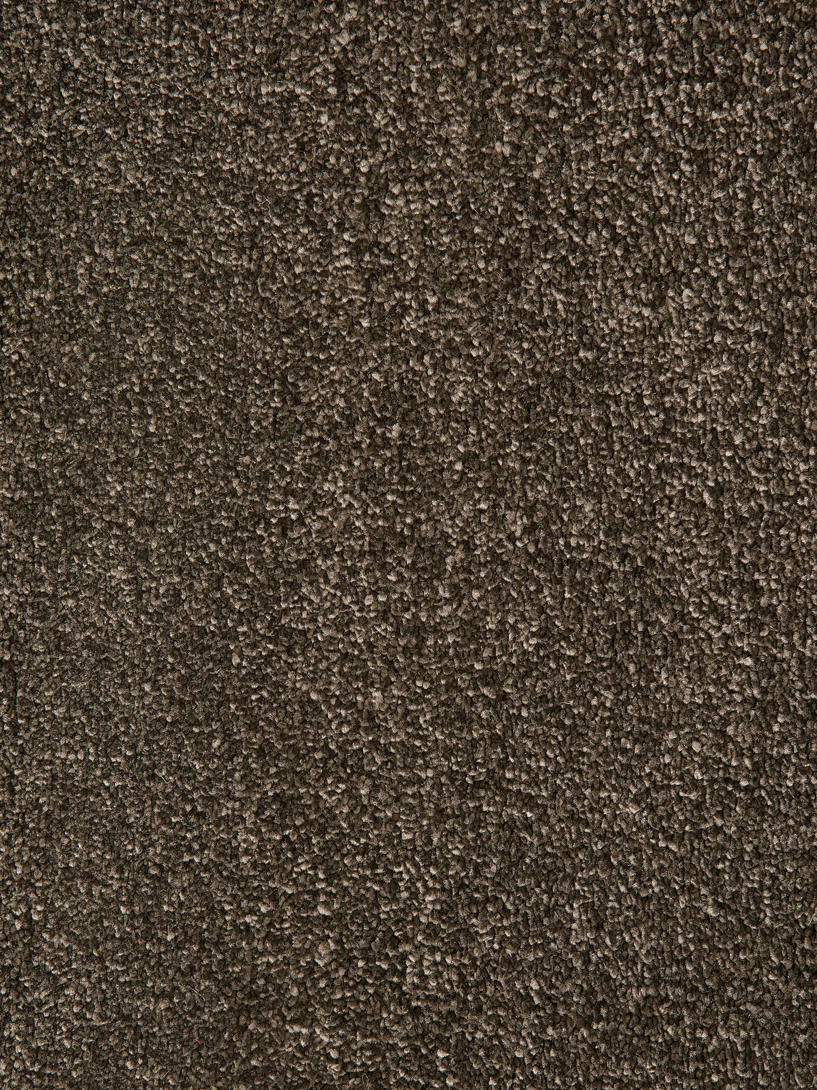 Sovereign Hochflor-Teppich, Mocca