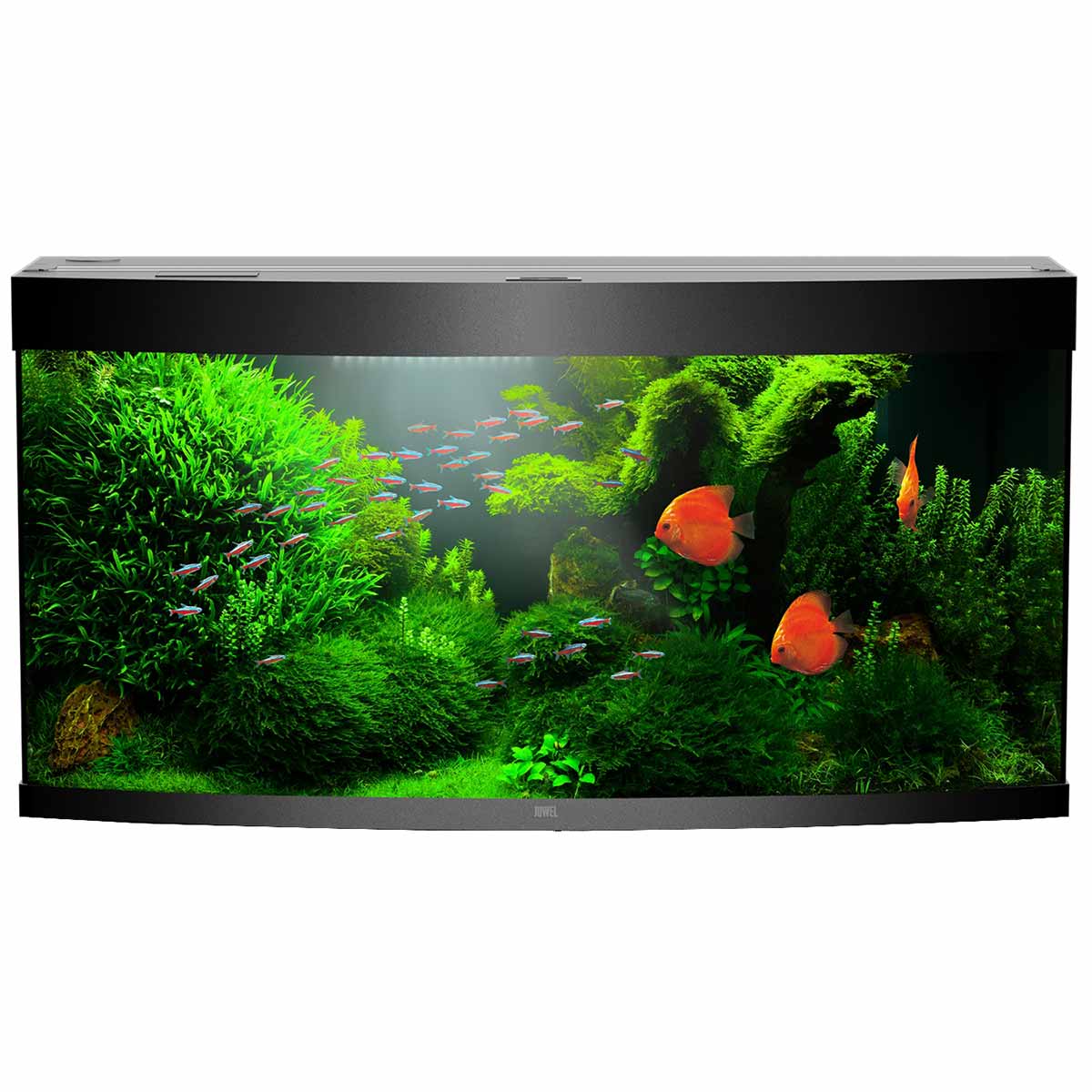 Juwel Novolux LED 60 weiß günstig kaufen