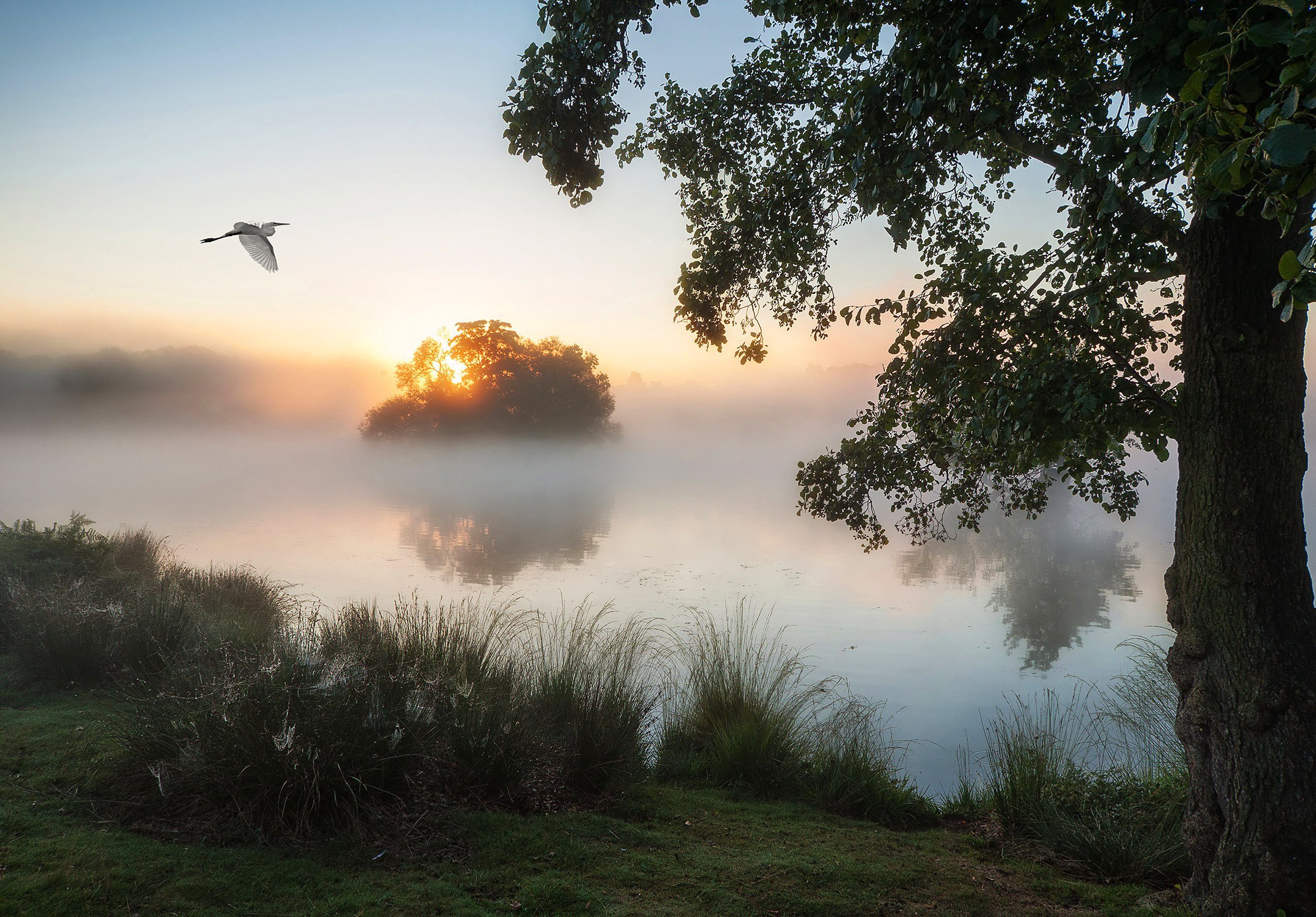 Wallarena Fototapete See Nebel Landschaft Vlies Tapete Wohnzimmer Schlafzimmer Wandtapete, Glatt, Natur, Vliestapete inklusive Kleister