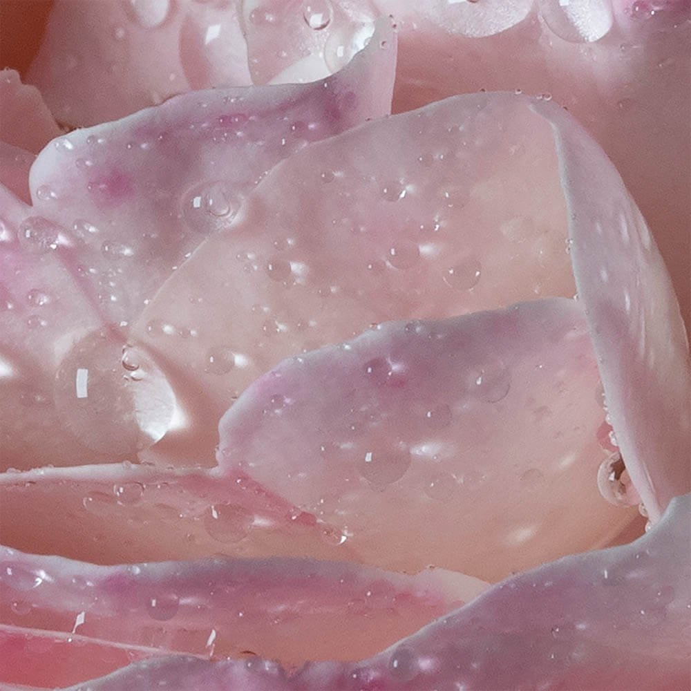 Maison Francis Kurkdjian L'Eau à la Rose Eau de Toilette Nat. Spray