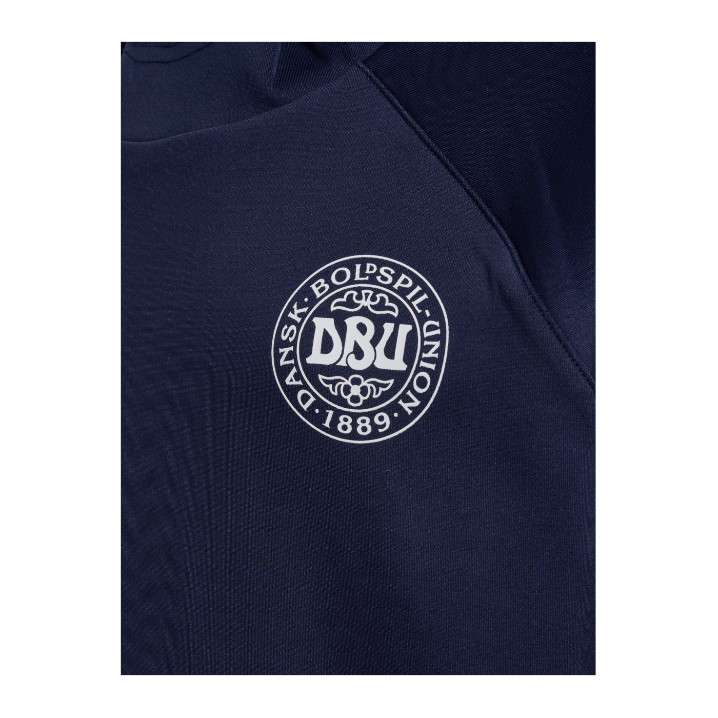 Hummel Dänemark Travel Hoody EM 2024 Kids Blau F7026