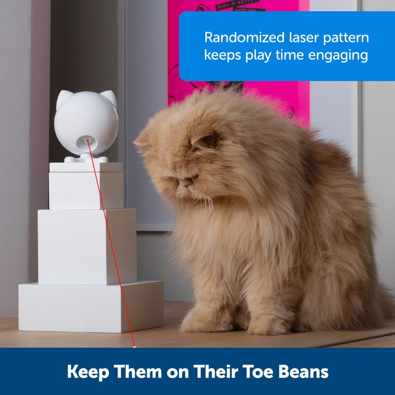 PetSafe Dancing Dot Laser Katzenspielzeug