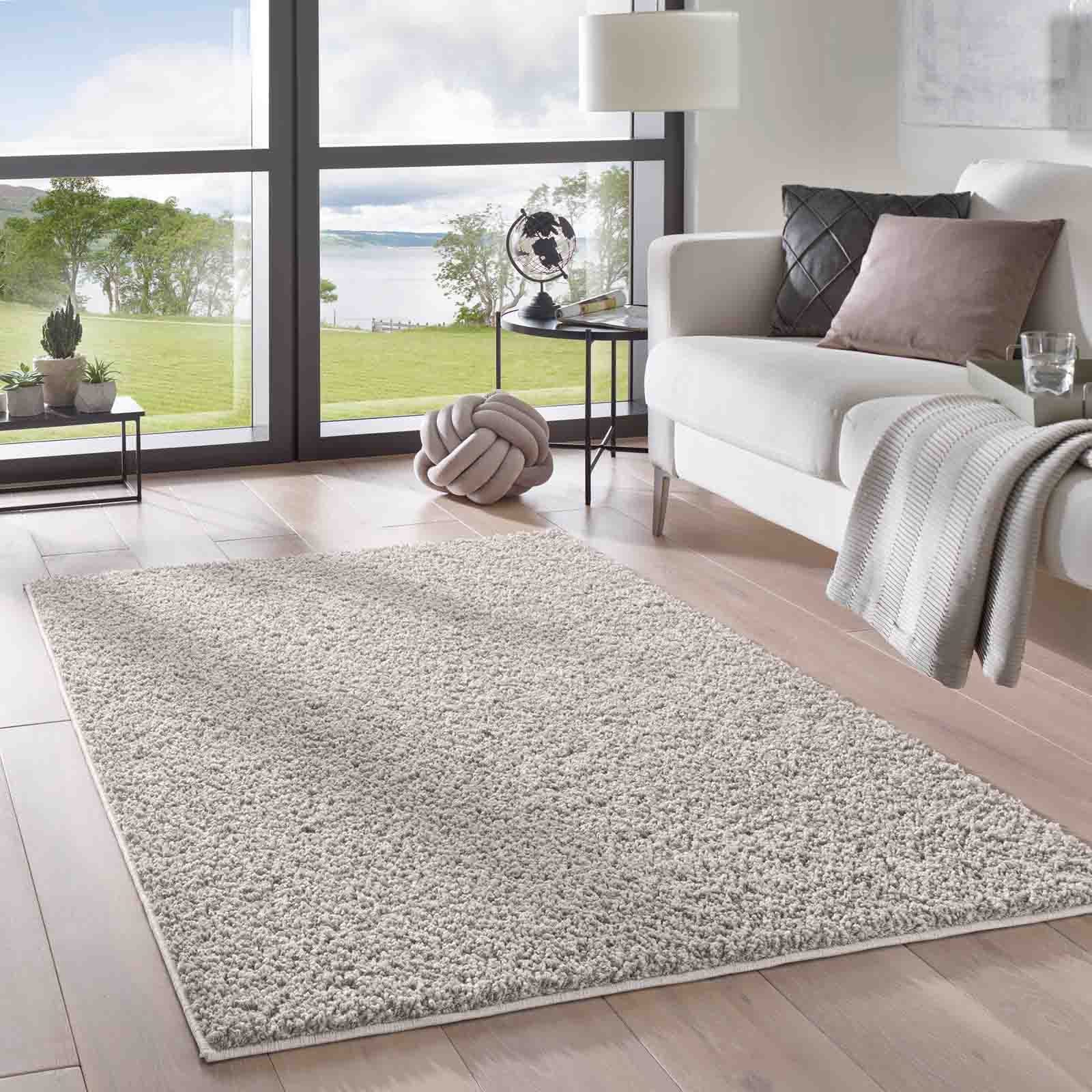 Langflor-Teppich Langflorteppich Sole 100% Polypropylen, TaraCarpet, rechteckig, Höhe: 30 mm, Hochflor Shaggy grau waschbar Wohnzimmer Schlafzimmer Bad 060x090 cm