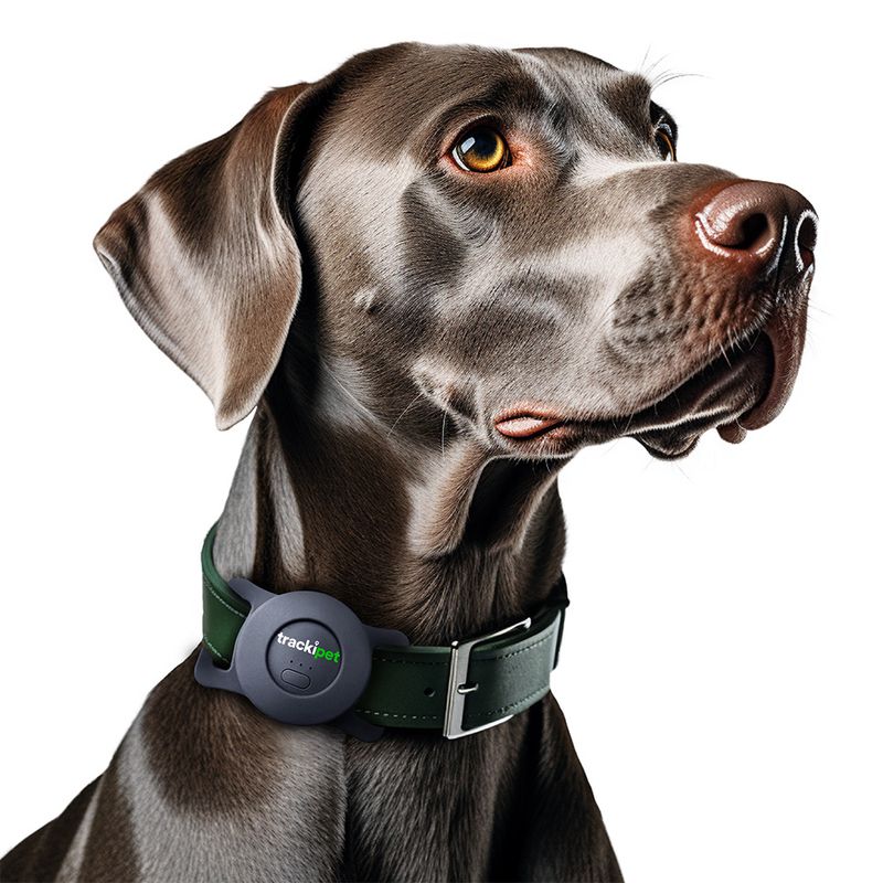 TrackiPet Smart GPS Tracker zu TOP-Preisen