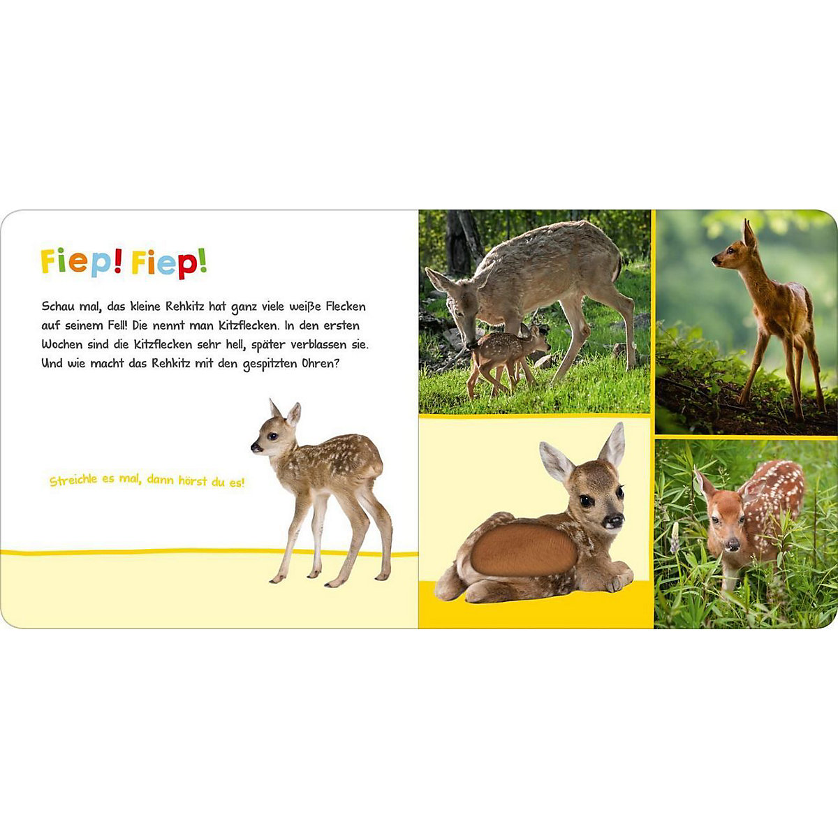 Hör mal rein, wer kann das sein: Tierbabys, Soundbuch mit Tiergeräuschen