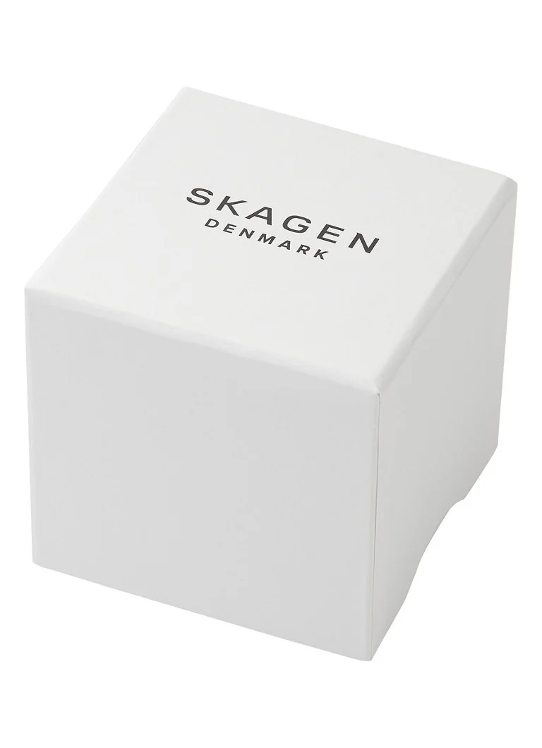 Ceas Skagen Hagen SKW3141