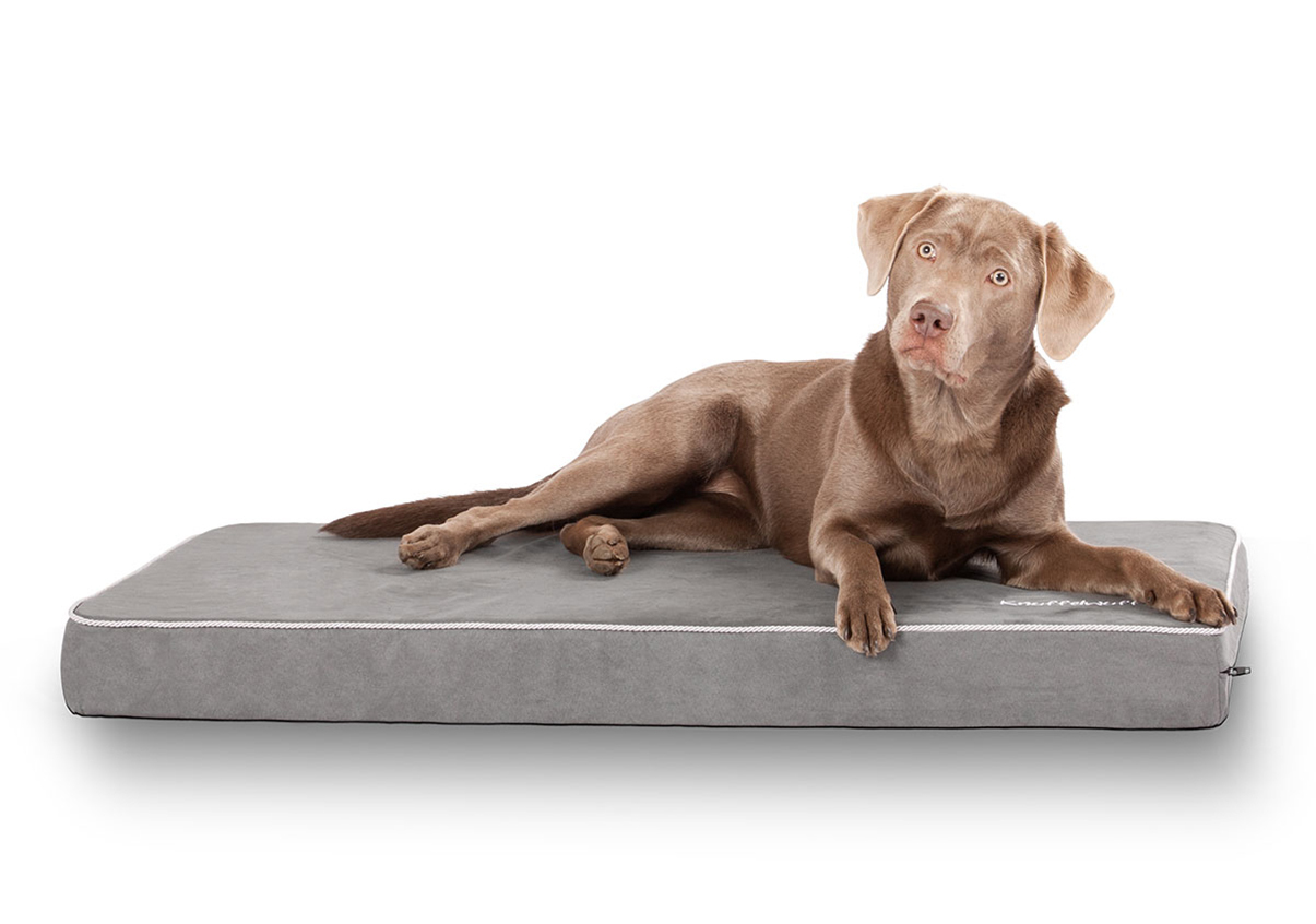 Knuffelwuff Hundematten Knuffelwuff Hundematte Maui aus Velours mit 9cm Schaumstoff grau XXL