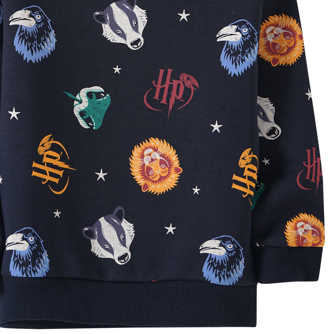 Harry Potter Sweatshirt mit Allover-Print