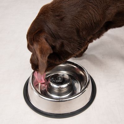 TIAKI Slow-Feeding-Napf Silvered