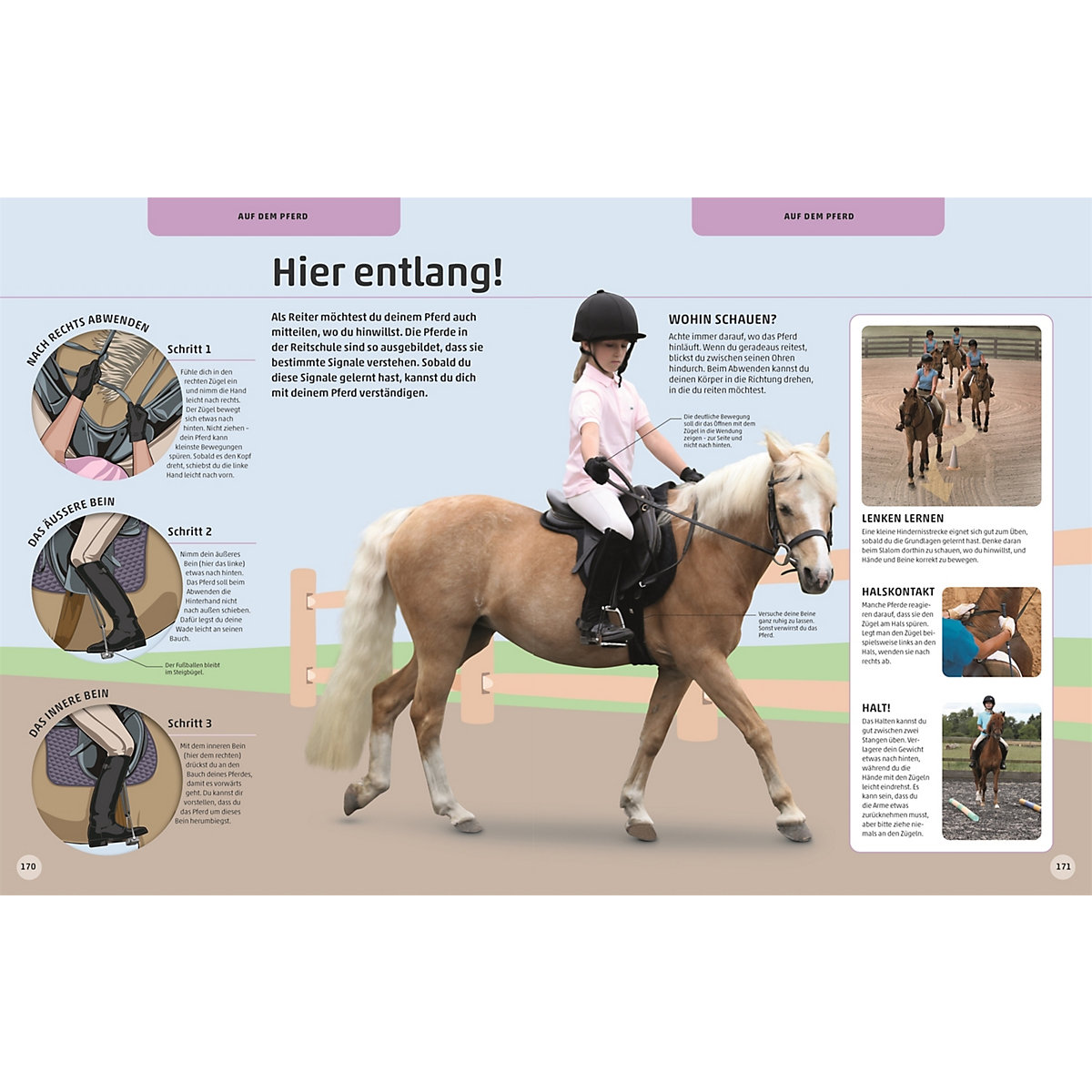 Pferde und Ponys