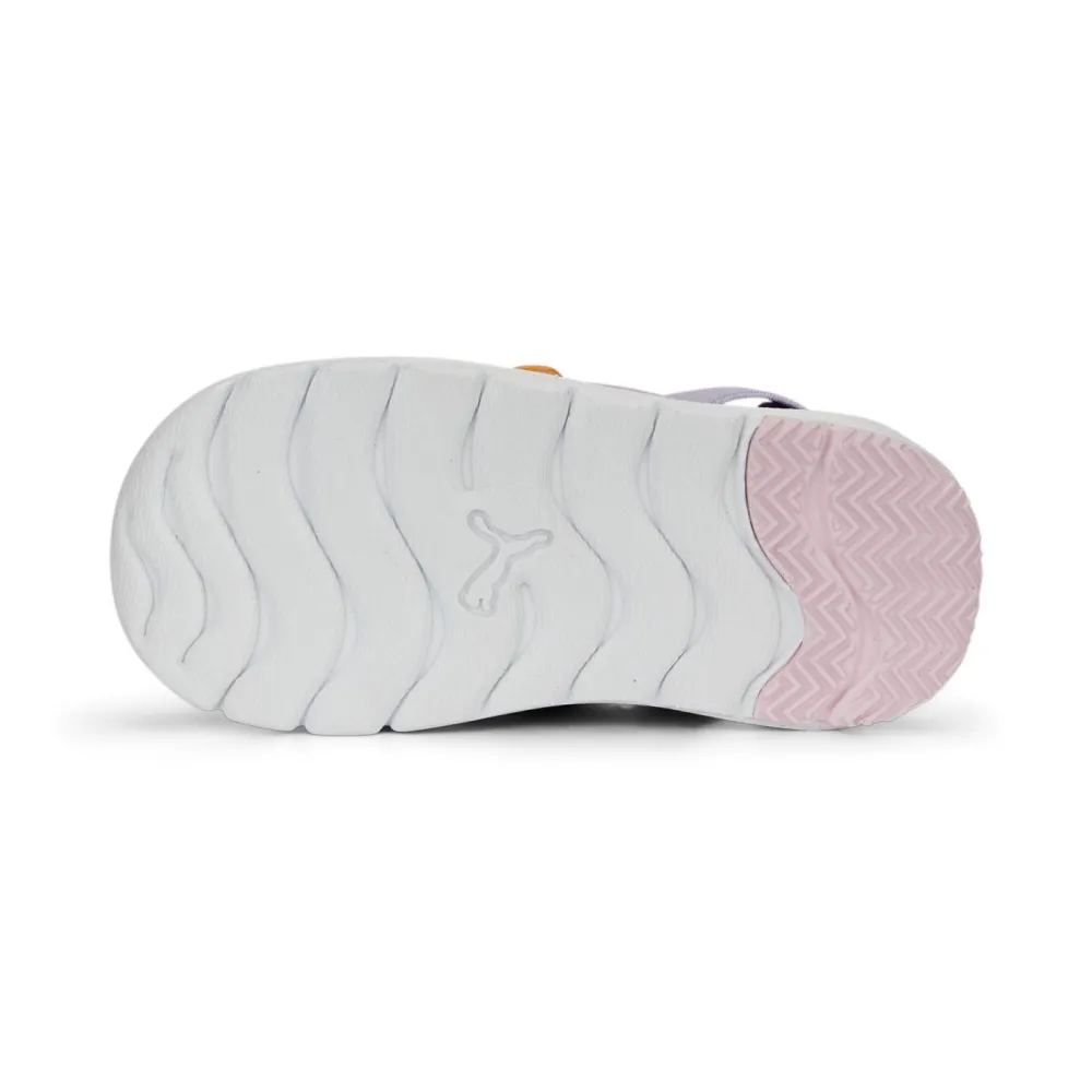 PUMA EVOLVE AC 389148-05 / lila