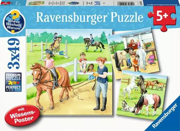 Kinderpuzzle ab 5 Jahren - Ein Tag auf dem Reiterhof - 49 Teile