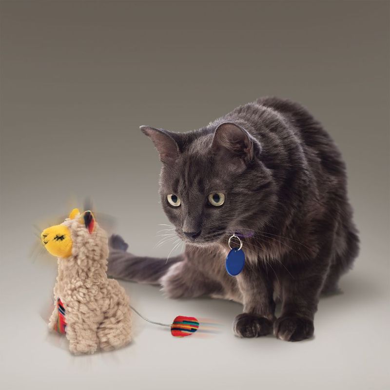 KONG Softies Buzzy Llama zu TOP-Preisen
