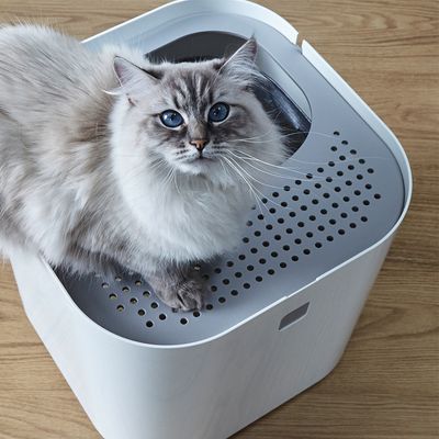 Modkat Katzentoilette