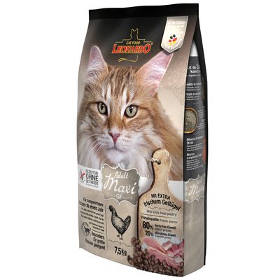 Sparpaket Leonardo 2 x Großgebinde