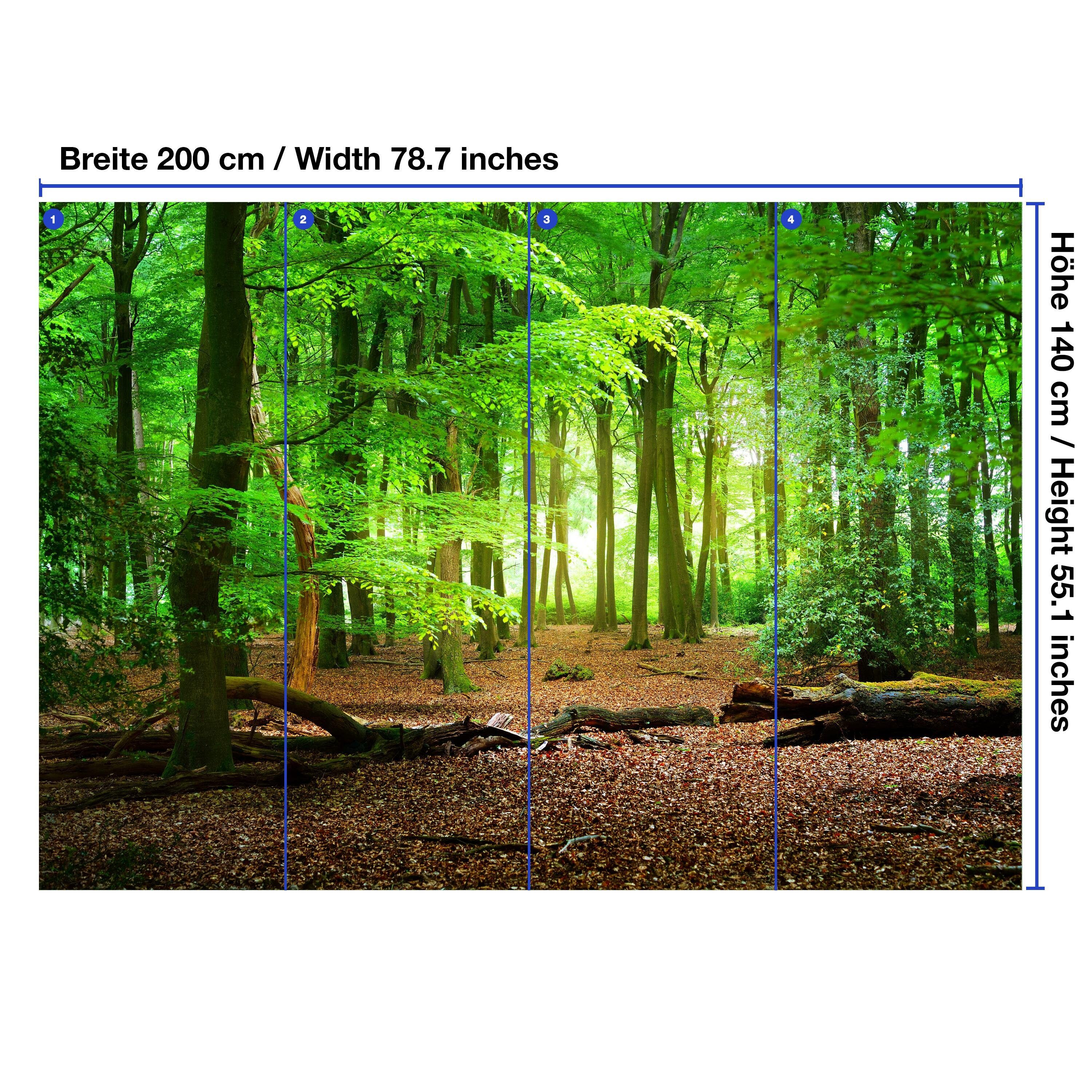 wandmotiv24 Fototapete Wald Sommer Natur, strukturiert, Wandtapete, Motivtapete, matt, Vinyltapete, selbstklebend