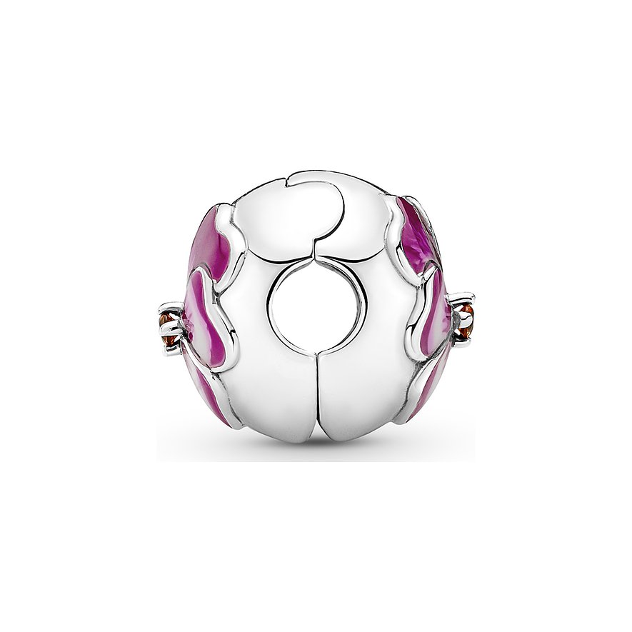 Pandora Charm Moments