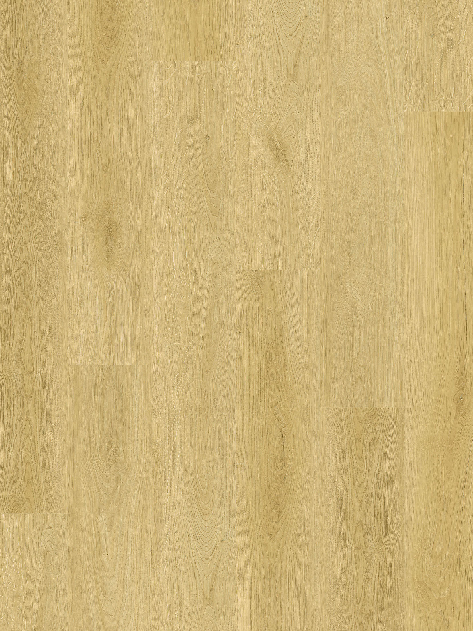 Whisper Wood Vinylboden, Elegance Pine 10553