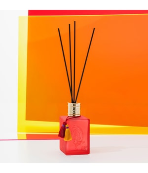 Etro Demetra Rot-Misto Bosco Raumduft-500 ml