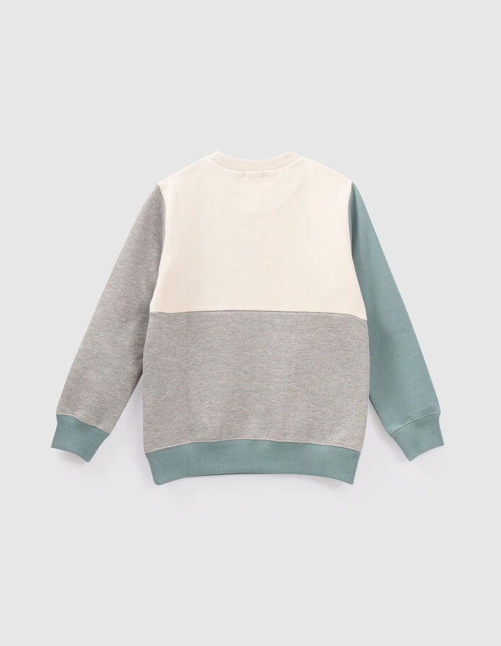 Sweat gris, vert, écru visuels en gomme garçon