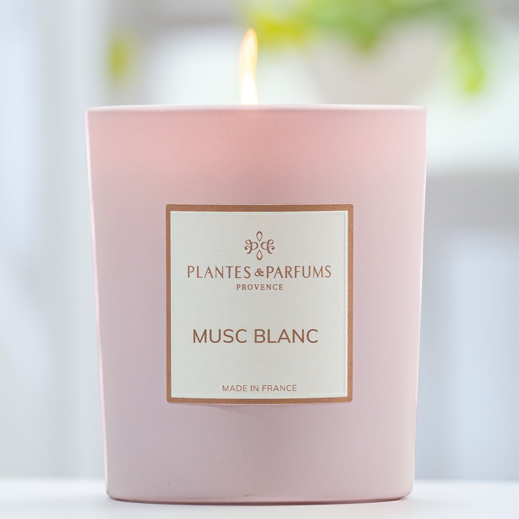 Piante e profumi Muschio bianco