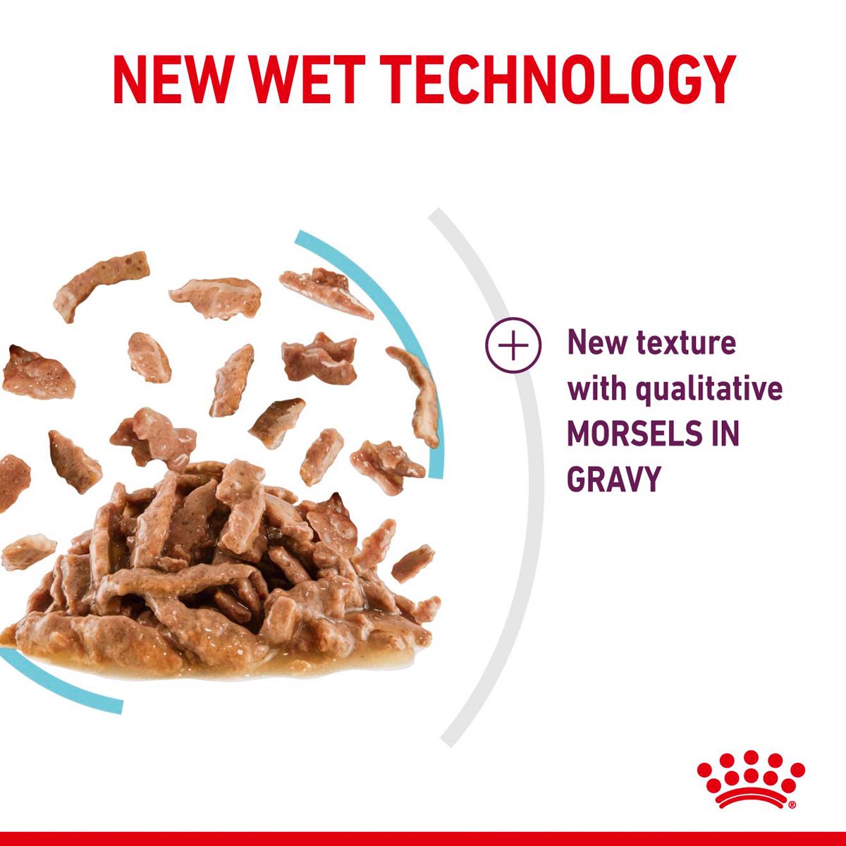 Royal Canin Sensory Feel Gravy günstig kaufen bei ZooRoyal