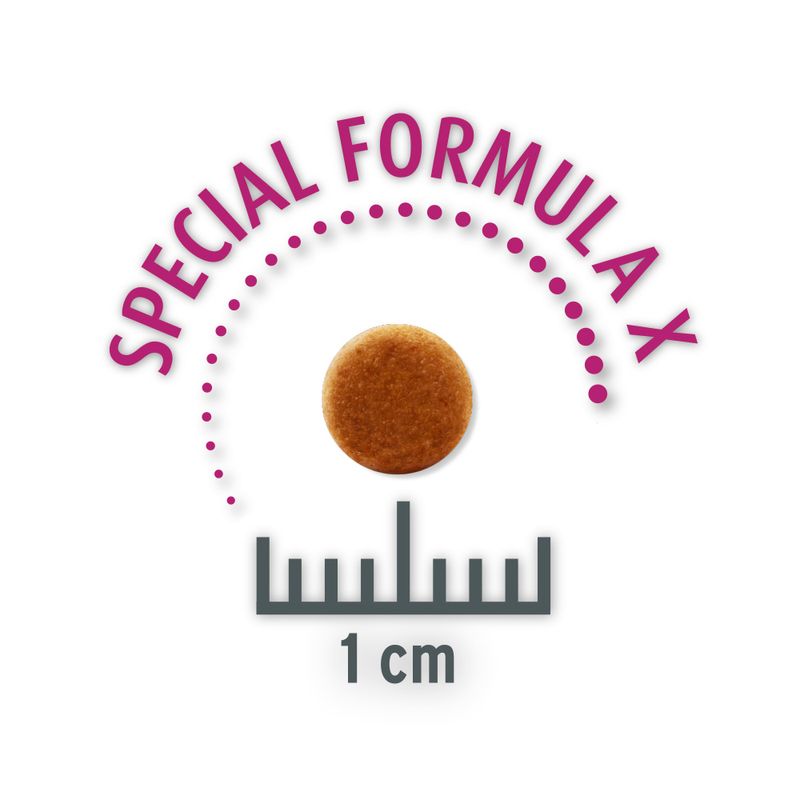 400 g Concept for Life Kitten Trockenfutter + 12 x 85 g Pouch